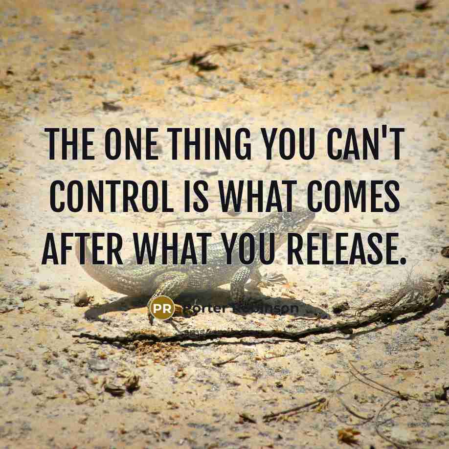 “The one thing you can't control is what comes after…” quote by Porter Robinson