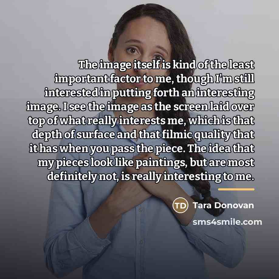 “The image itself is kind of the least important factor…” quote by Tara Donovan