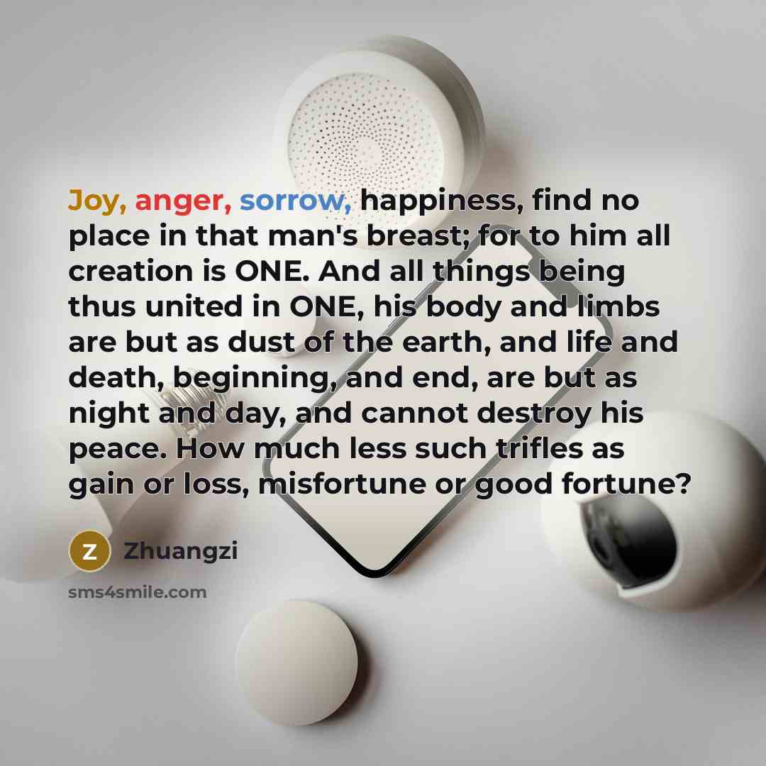“Joy, anger, sorrow, happiness, find no place in that man's…” quote by Zhuangzi