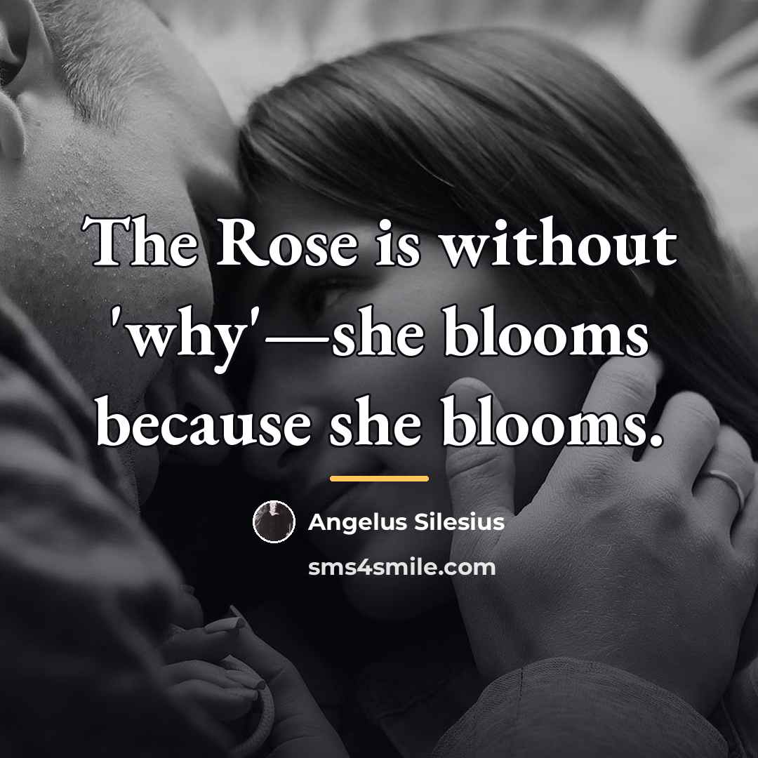“The Rose is without 'why'—she blooms because she blooms.…” quote by Angelus Silesius