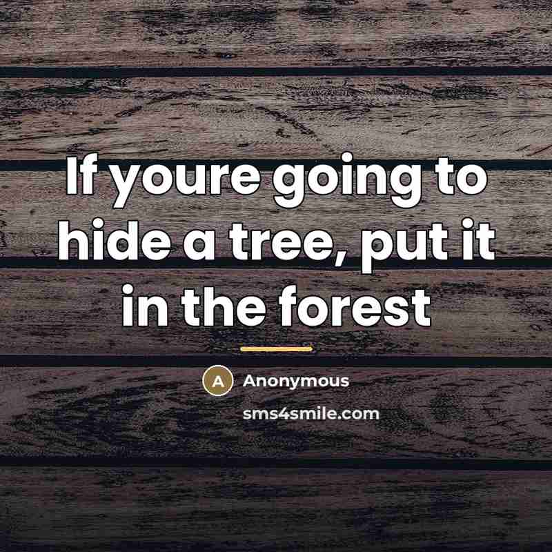 “If youre going to hide a tree, put it in…” quote by Anonymous