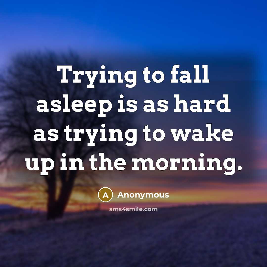 “Trying to fall asleep is as hard as trying to wake up in the morning.” quote by Anonymous
