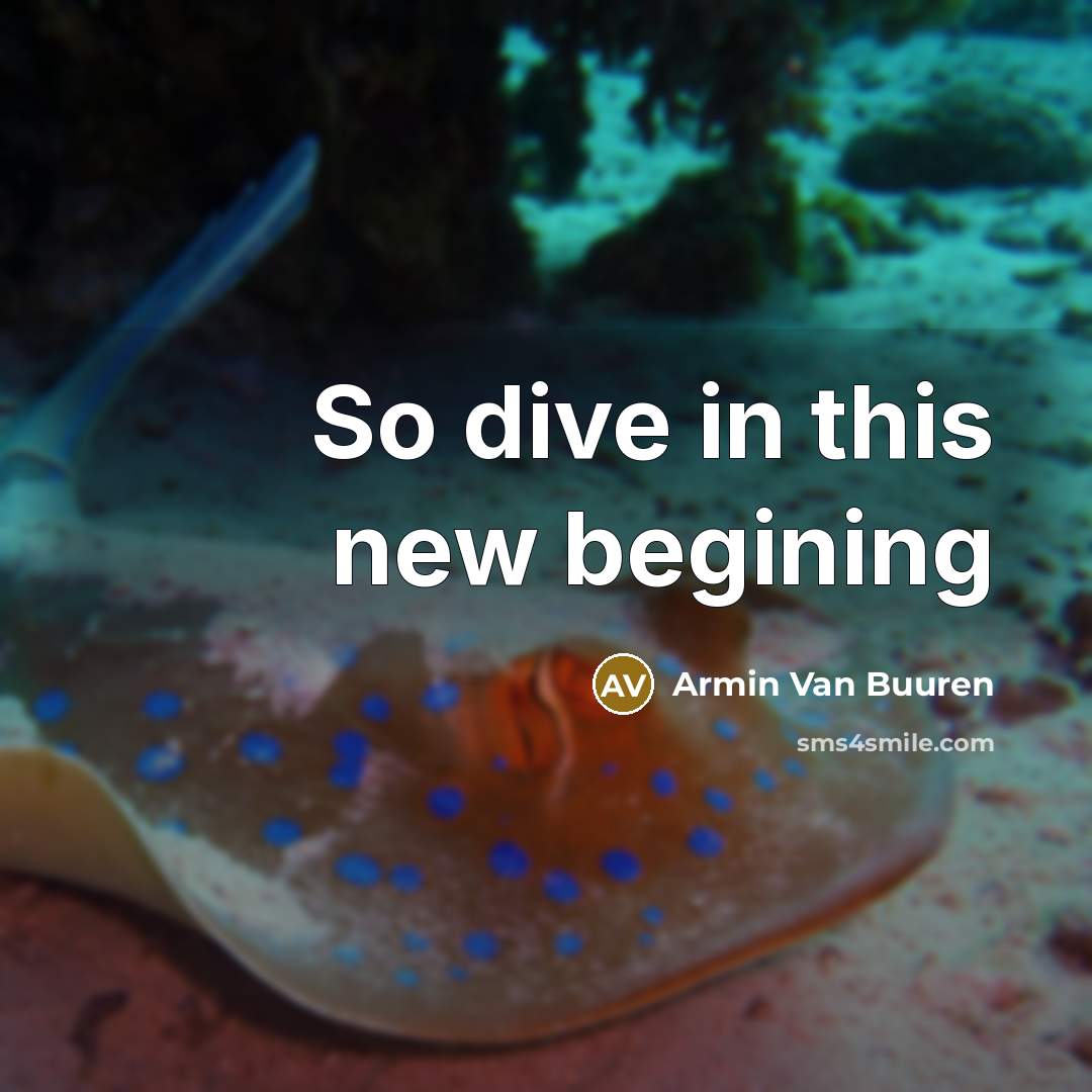 “So dive in this new begining” quote by Armin Van Buuren