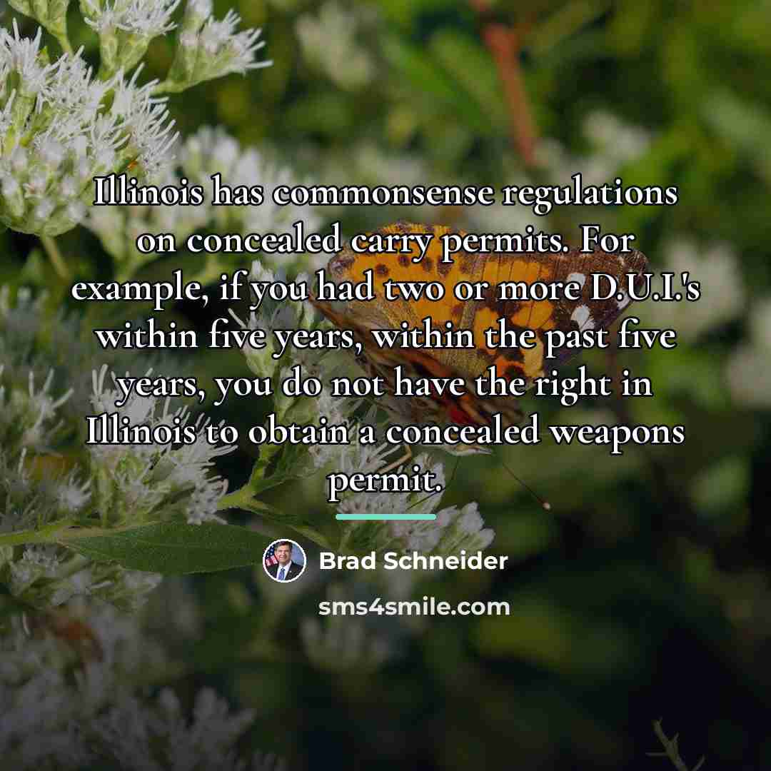 “Illinois has commonsense regulations on concealed carry permits. For example,…” quote by Brad Schneider