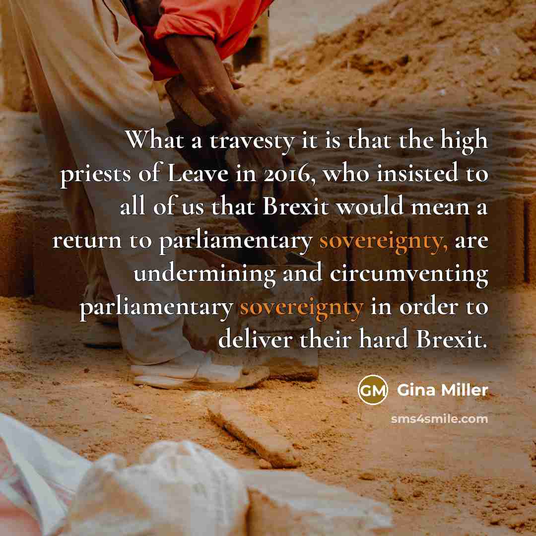 “What a travesty it is that the high priests of…” quote by Gina Miller