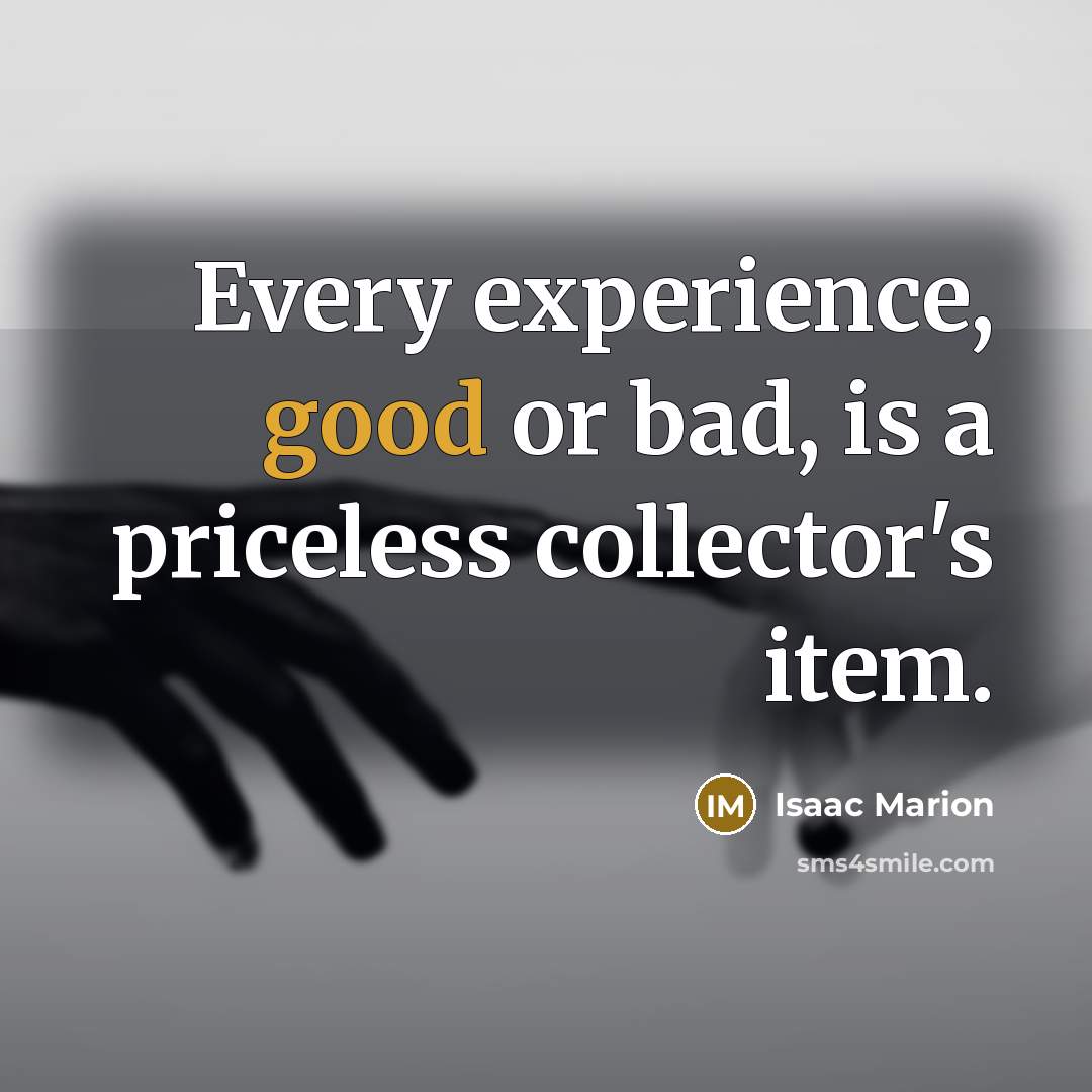 “Every experience, good or bad, is a priceless collector's item.” quote by Isaac Marion