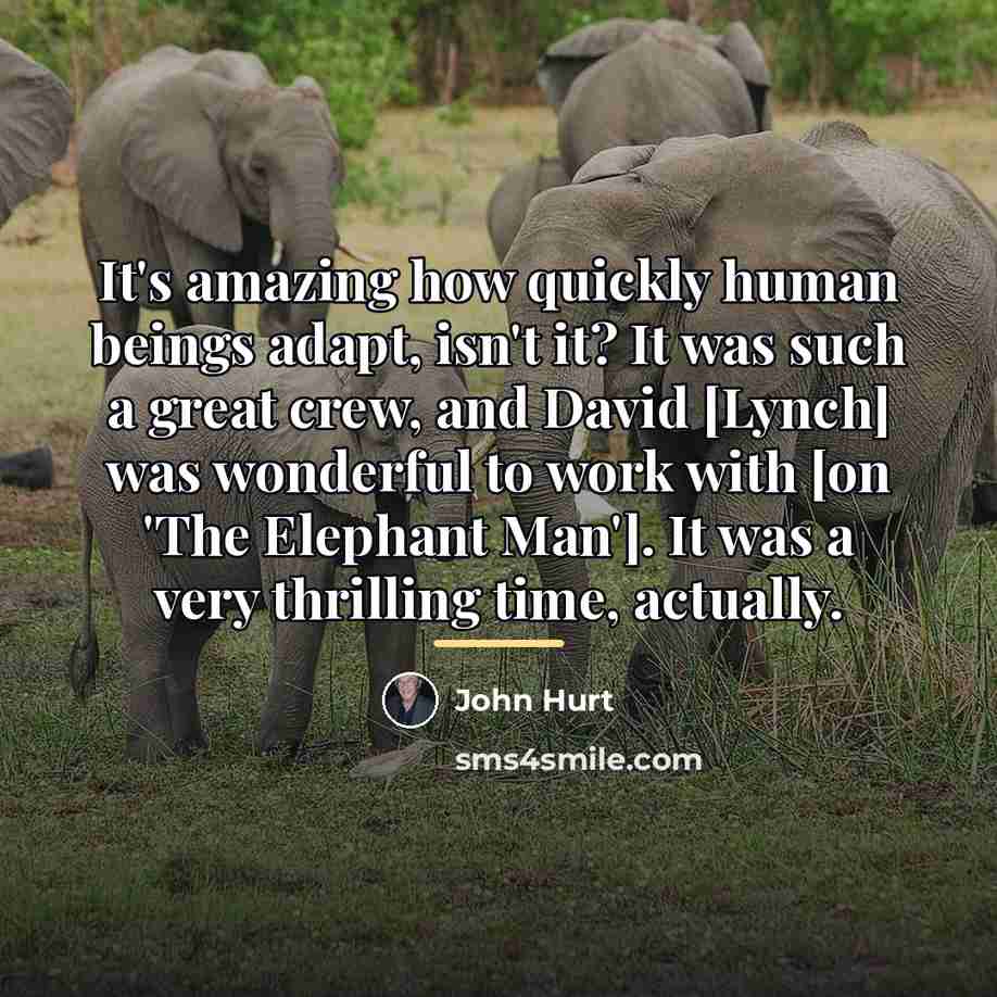 “It's amazing how quickly human beings adapt, isn't it? It…” quote by John Hurt