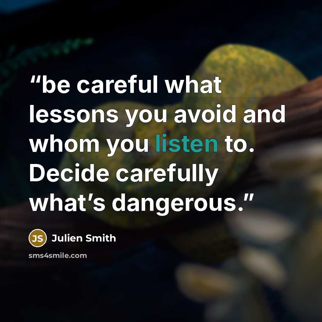 “be careful what lessons you avoid and whom you listen to. Decide carefully what’s dangerous.” quote by Julien Smith