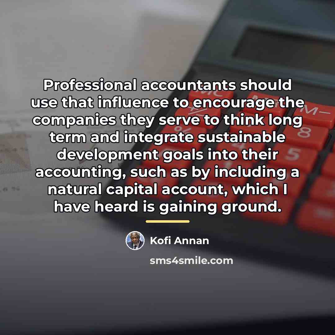 “Professional accountants should use that influence to encourage the companies…” quote by Kofi Annan