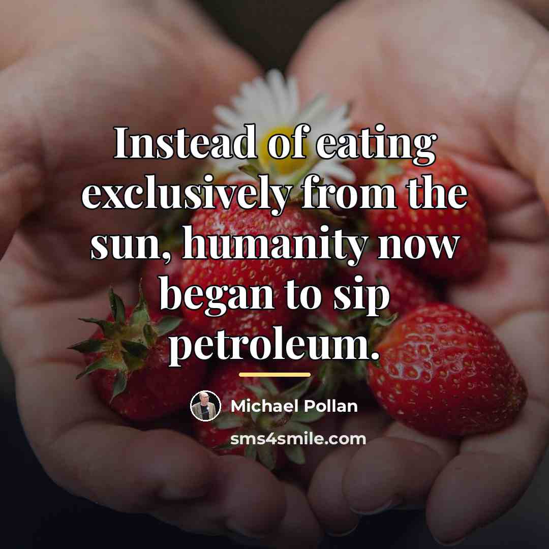 “Instead of eating exclusively from the sun, humanity now began…” quote by Michael Pollan