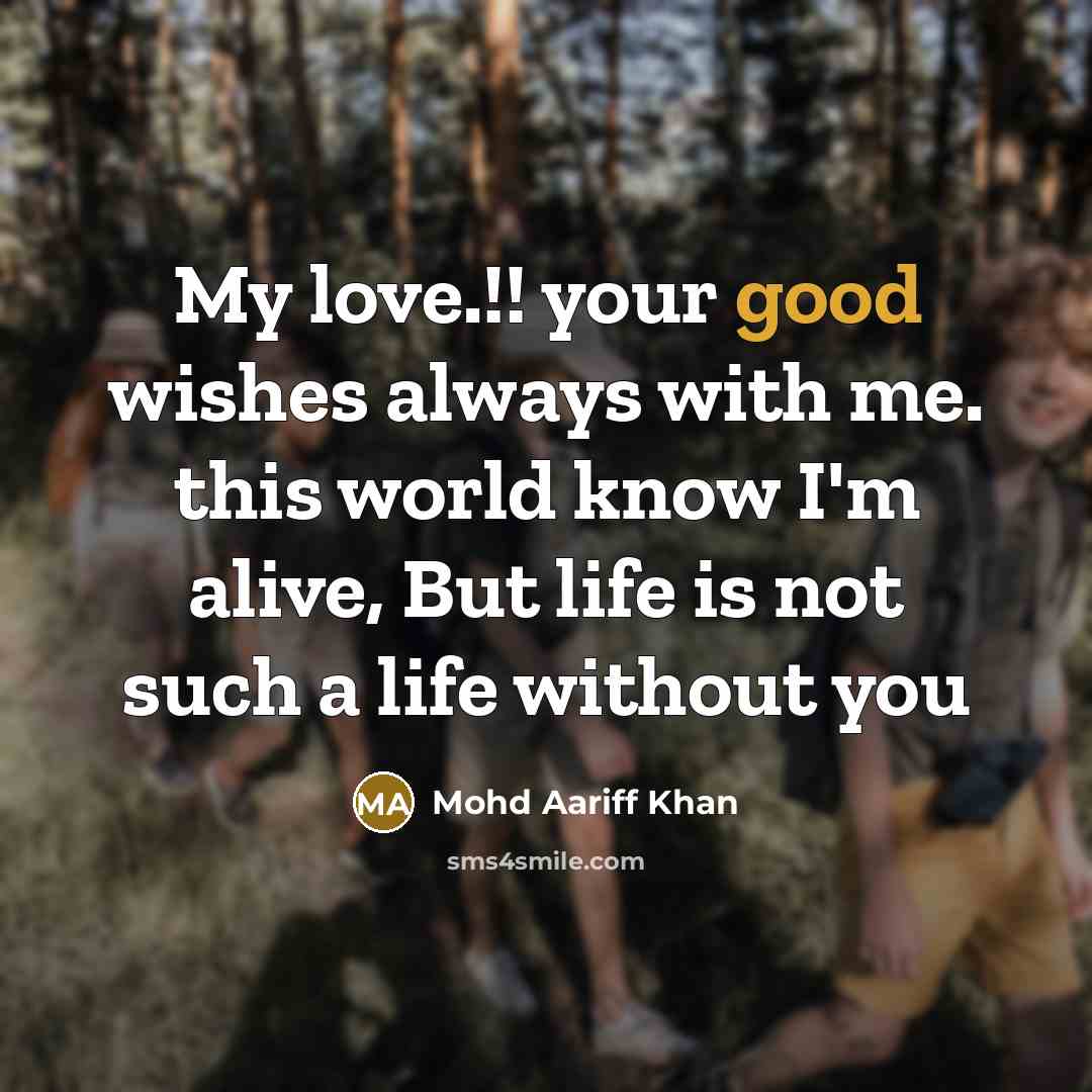 “My love.!! your good wishes always with me. this world…” quote by Mohd Aariff Khan