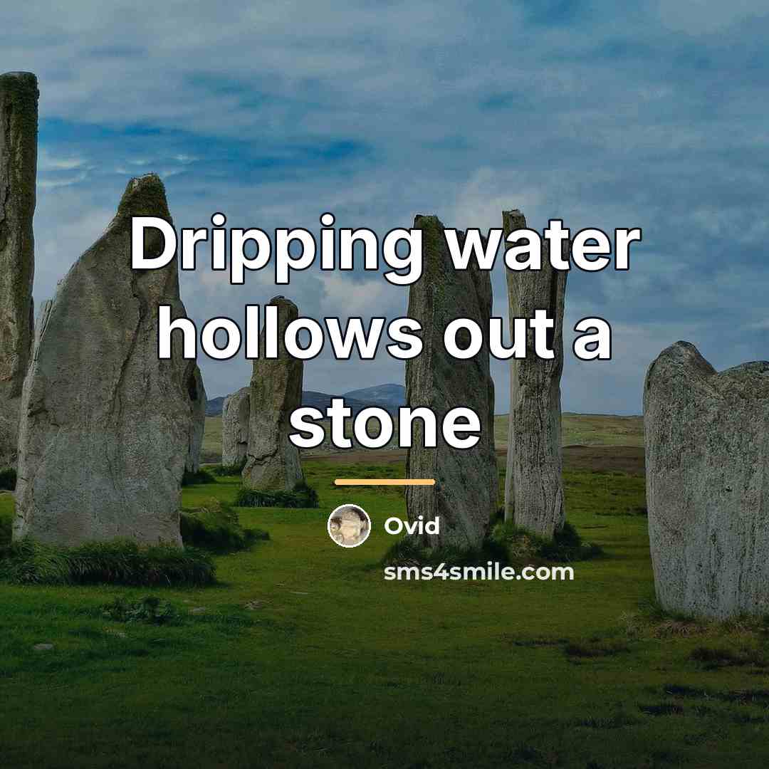 “Dripping water hollows out a stone…” quote by Ovid