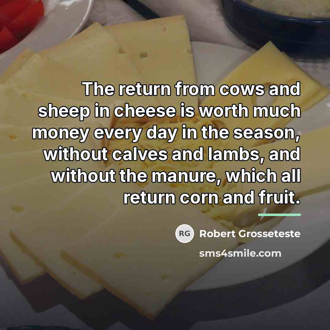 “The return from cows and sheep in cheese is worth…” quote by Robert Grosseteste