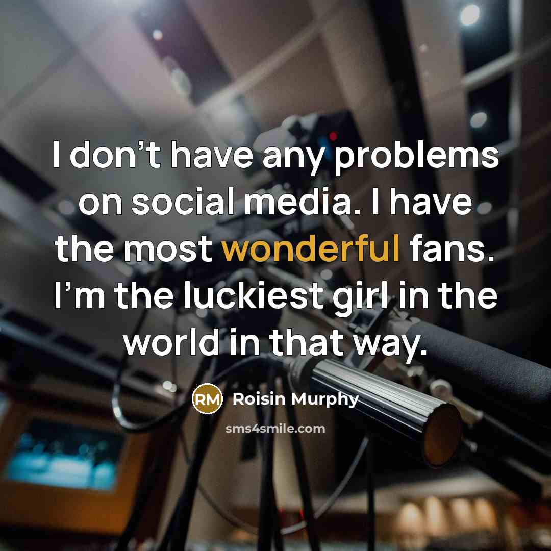 “I don't have any problems on social media. I have…” quote by Roisin Murphy