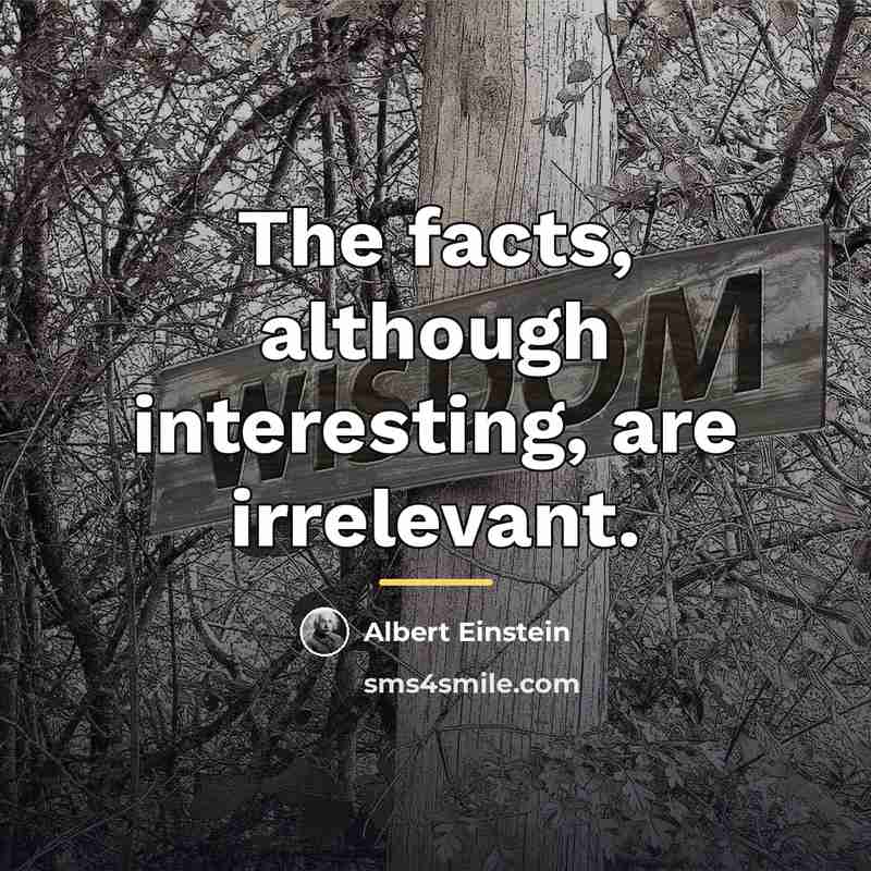 “The facts, although interesting, are irrelevant.…” quote by Albert Einstein