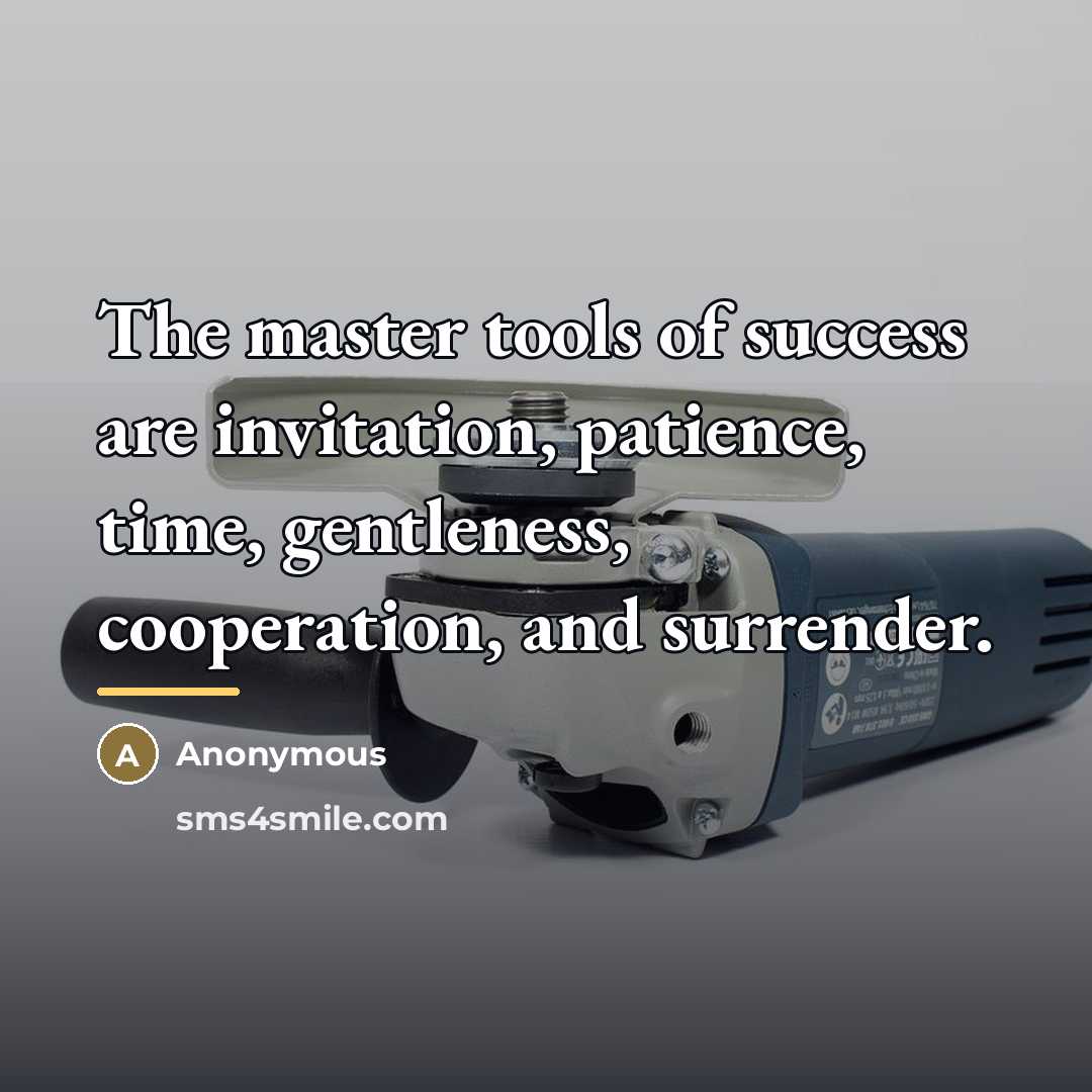 “The master tools of success are invitation, patience, time, gentleness,…” quote by Anonymous