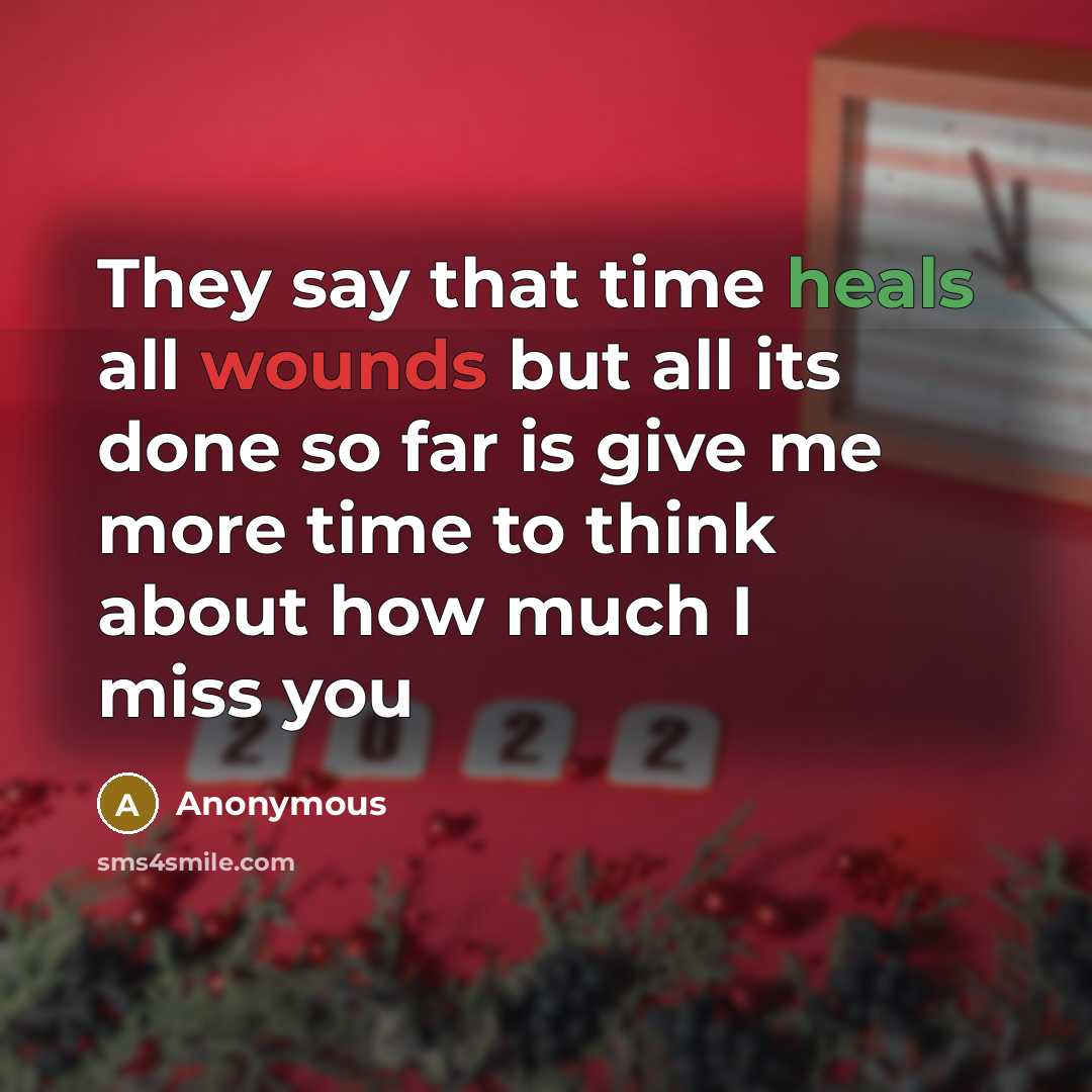 “They say that time heals all wounds but all its done so far is give me more time to think about how much I miss you” quote by Anonymous