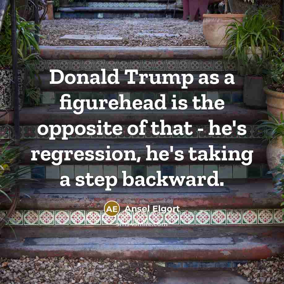 “Donald Trump as a figurehead is the opposite of that - he's regression, he's taking a step backward.” quote by Ansel Elgort