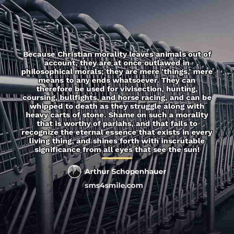 “Because Christian morality leaves animals out of account, they are…” quote by Arthur Schopenhauer