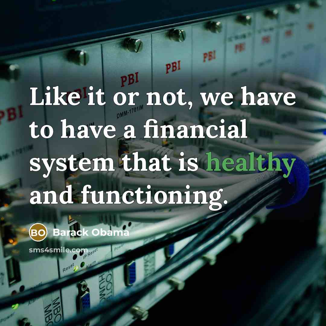 “Like it or not, we have to have a financial system that is healthy and functioning.” quote by Barack Obama