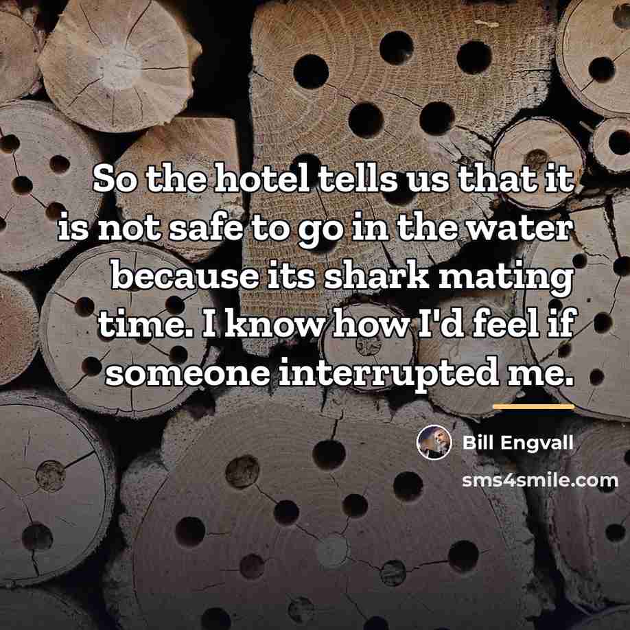 “So the hotel tells us that it is not safe…” quote by Bill Engvall