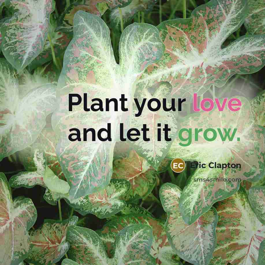 “Plant your love and let it grow.” quote by Eric Clapton