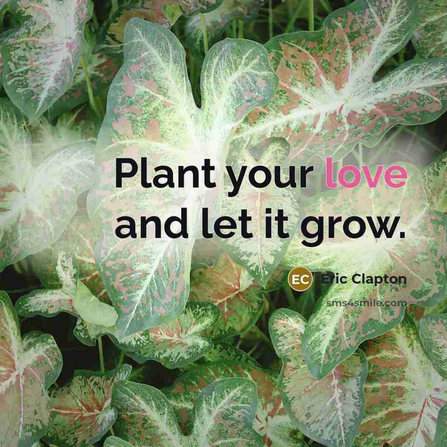 “Plant your love and let it grow.…” quote by Eric Clapton