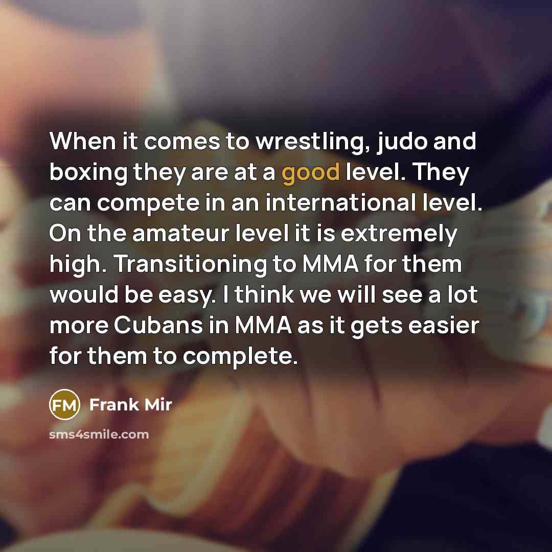 “When it comes to wrestling, judo and boxing they are…” quote by Frank Mir
