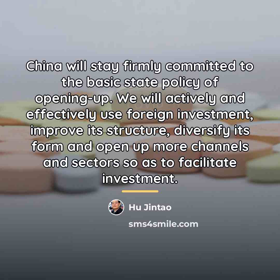 “China will stay firmly committed to the basic state policy…” quote by Hu Jintao