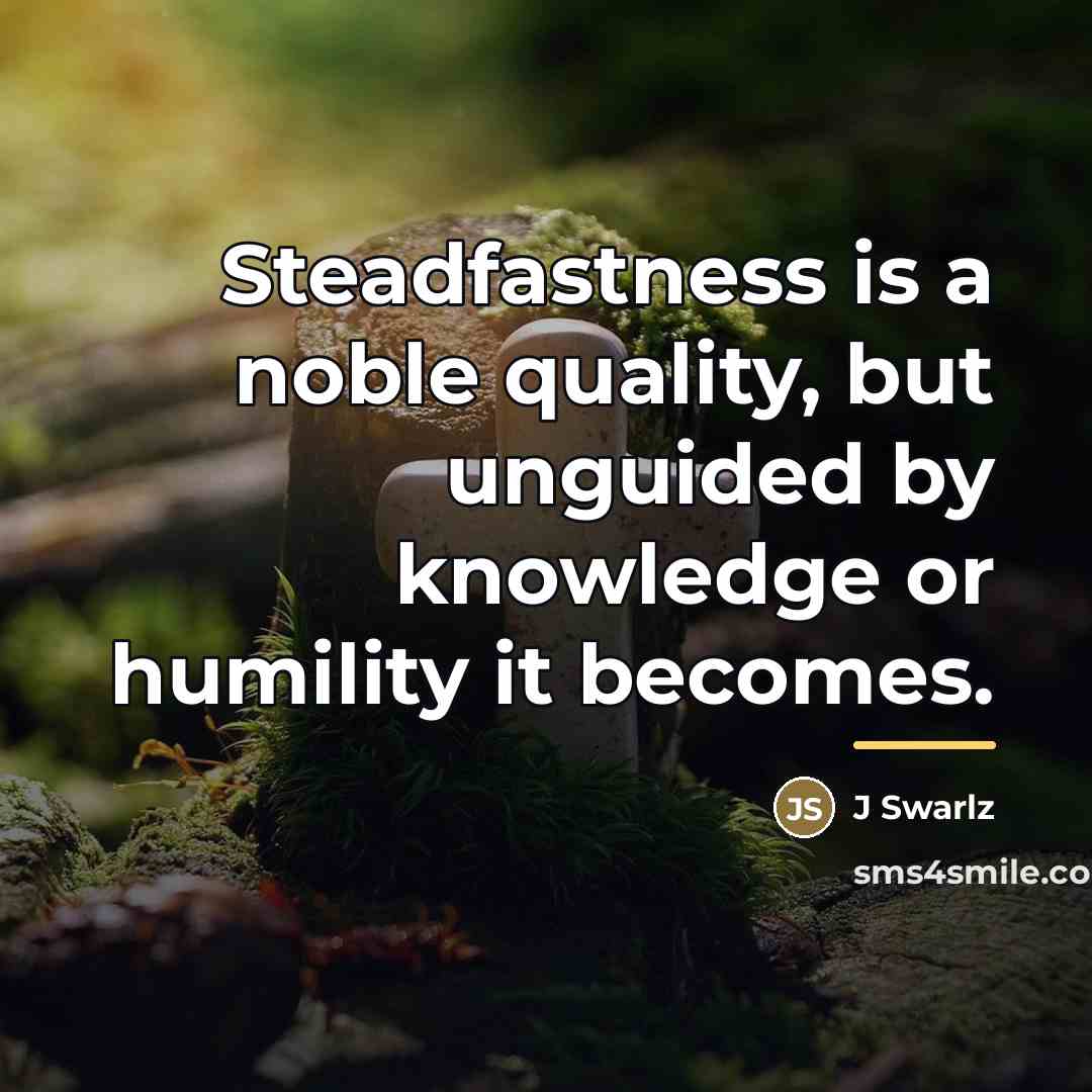 “Steadfastness is a noble quality, but unguided by knowledge or…” quote by J Swarlz
