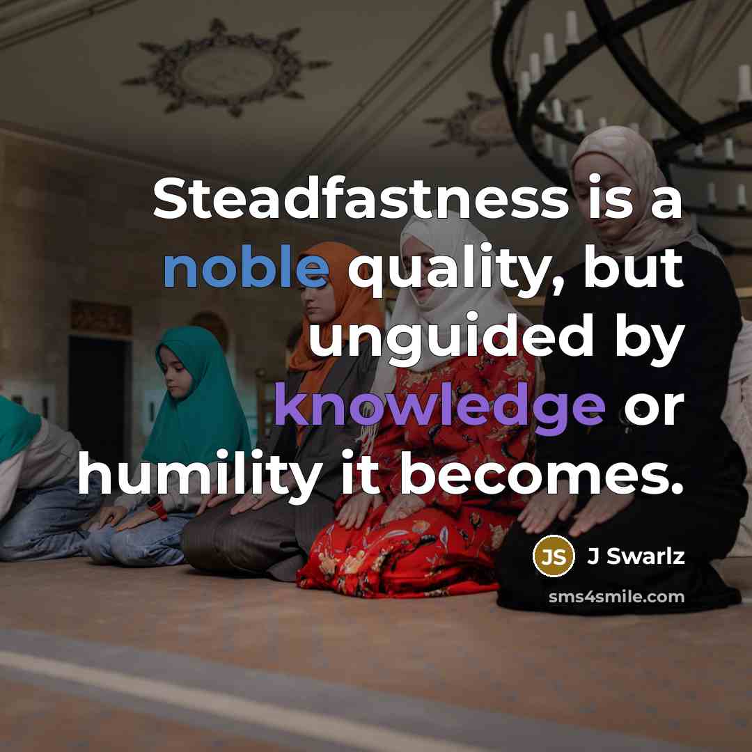 “Steadfastness is a noble quality, but unguided by knowledge or humility it becomes.” quote by J Swarlz