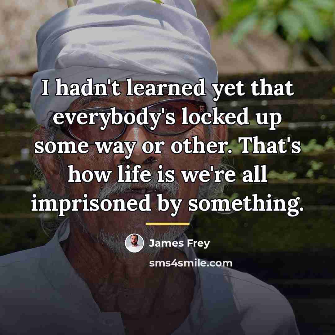“I hadn't learned yet that everybody's locked up some way…” quote by James Frey