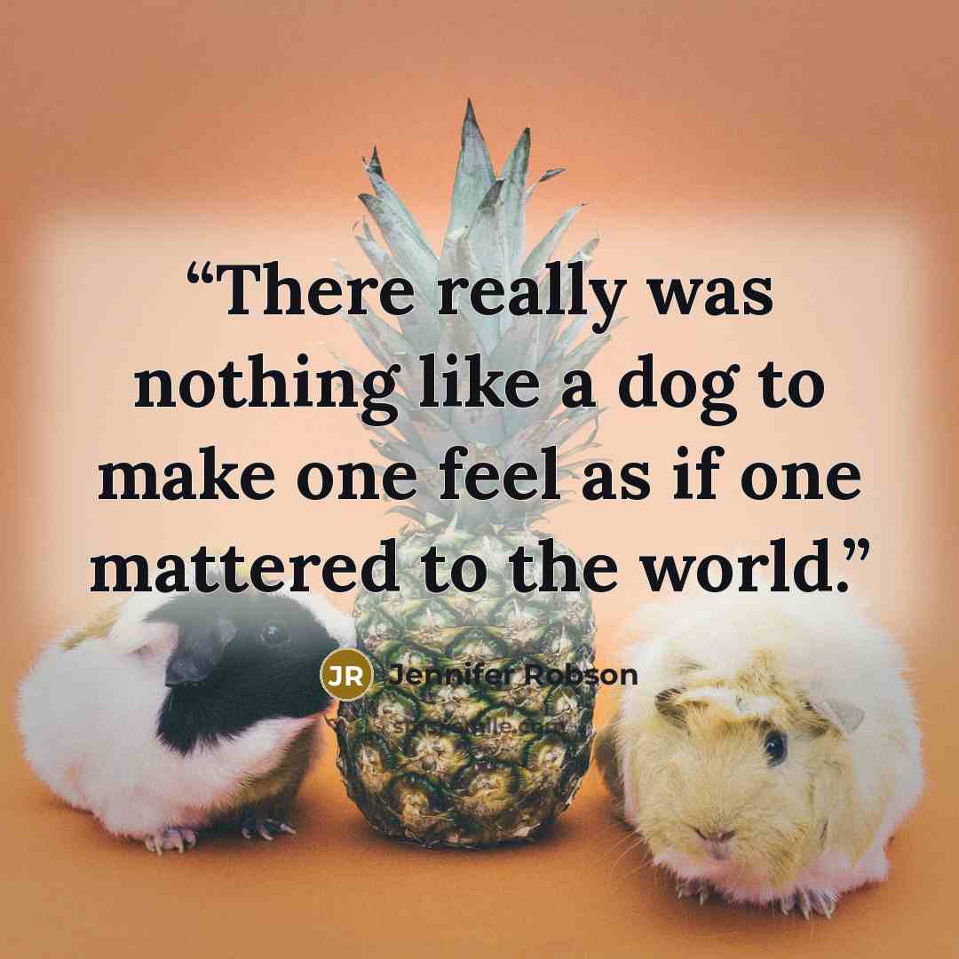 “There really was nothing like a dog to make one feel as if one mattered to the world.” quote by Jennifer Robson