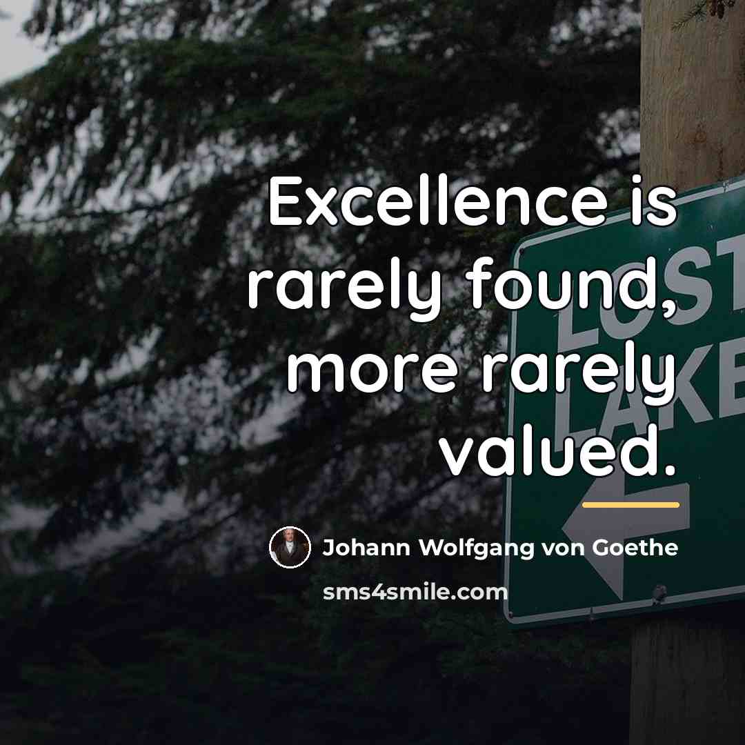 “Excellence is rarely found, more rarely valued.…” quote by Johann Wolfgang von Goethe
