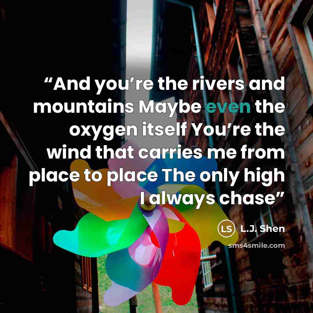 “And you’re the rivers and mountains Maybe even the oxygen itself You’re the wind that carries me from place to place The only high I always chase” quote by L.J. Shen