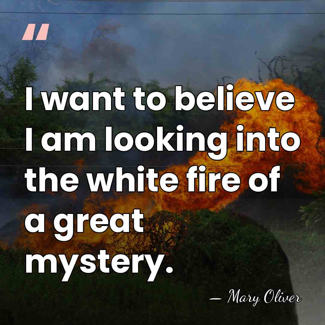 I want to believe I am looking into the white fire of&hellip; - Mary Oliver