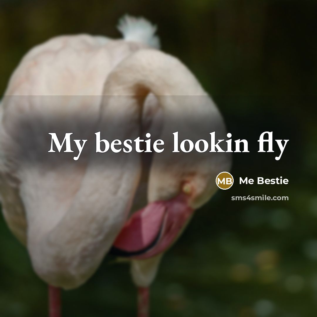 “My bestie lookin fly” quote by Me Bestie