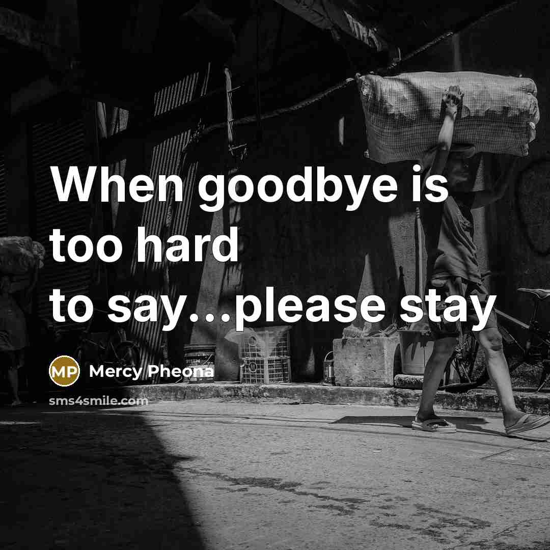 “When goodbye is too hard to say...please stay…” quote by Mercy Pheona