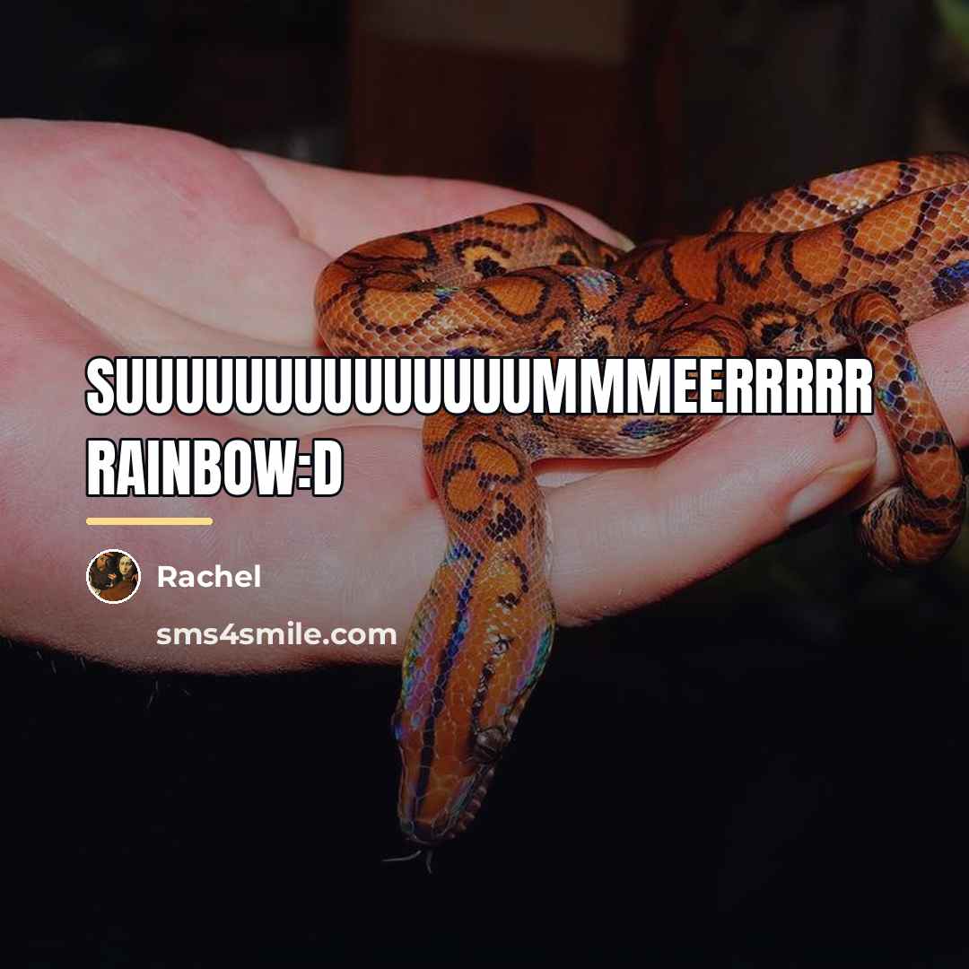“SUUUUUUUUUUUUUUMMMEERRRRR RAINBOW:D…” quote by Rachel