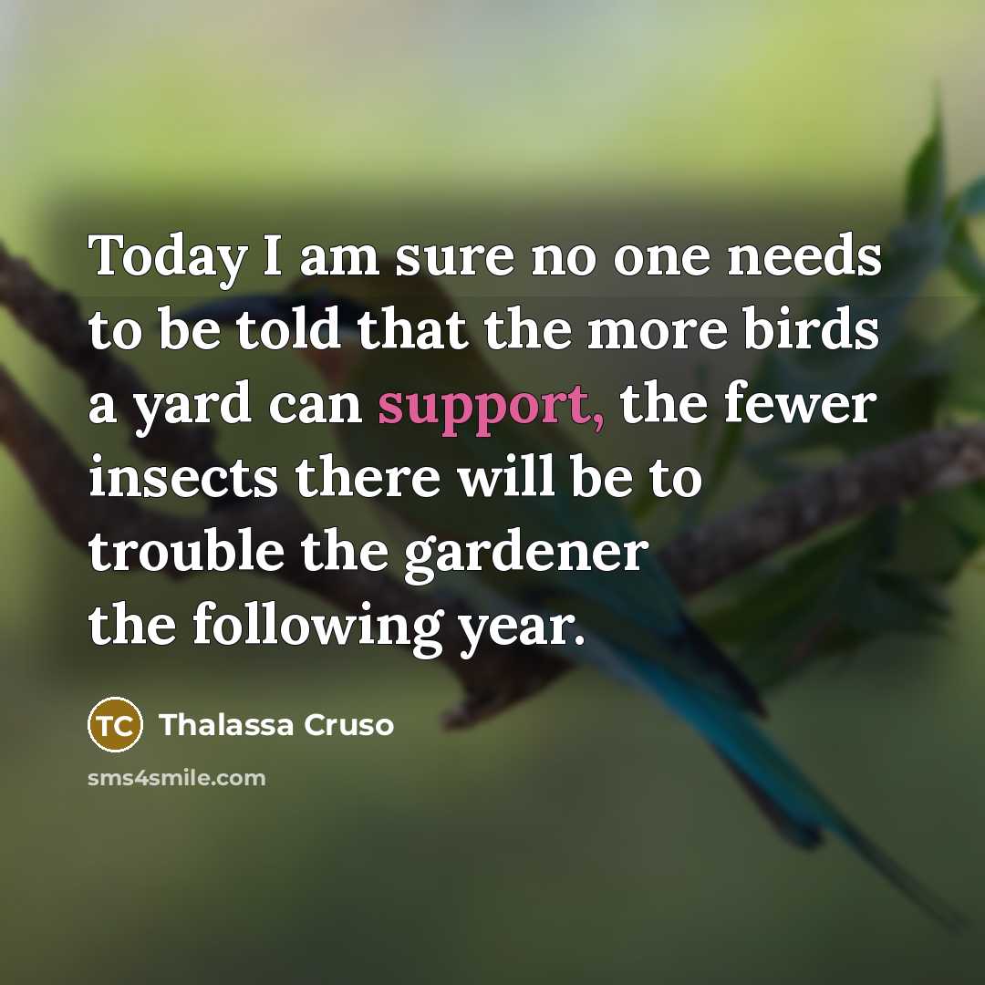 “Today I am sure no one needs to be told…” quote by Thalassa Cruso