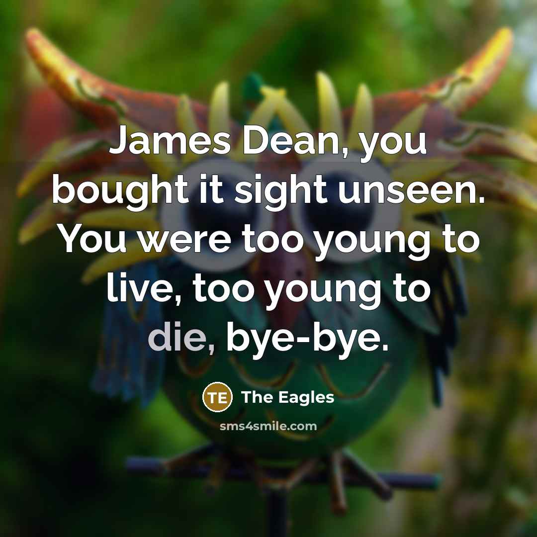 “James Dean, you bought it sight unseen. You were too young to live, too young to die, bye-bye.” quote by The Eagles