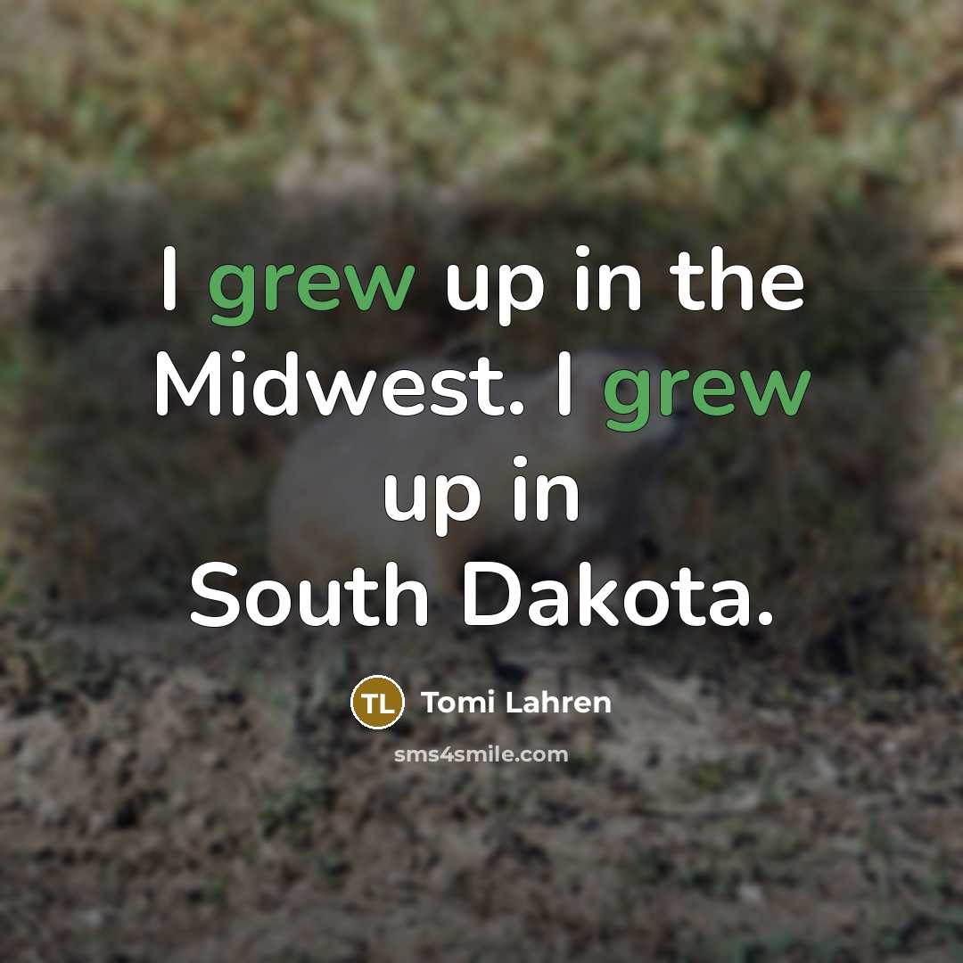 “I grew up in the Midwest. I grew up in…” quote by Tomi Lahren