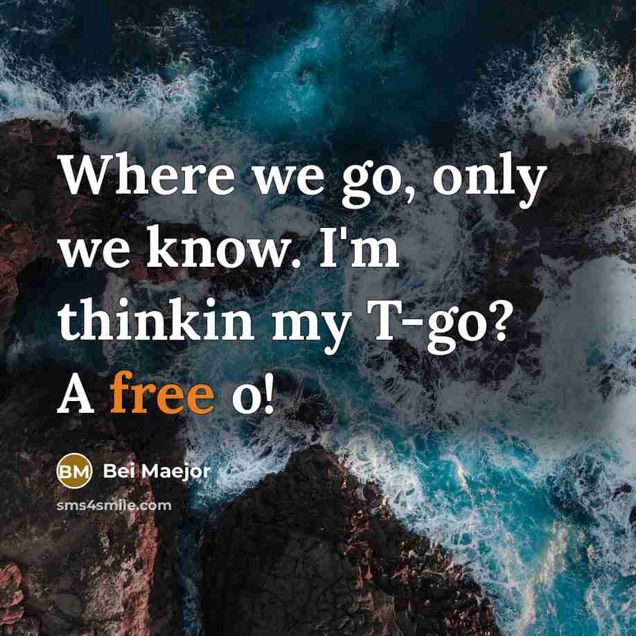 “Where we go, only we know. I'm thinkin my T-go? A free o!” quote by Bei Maejor