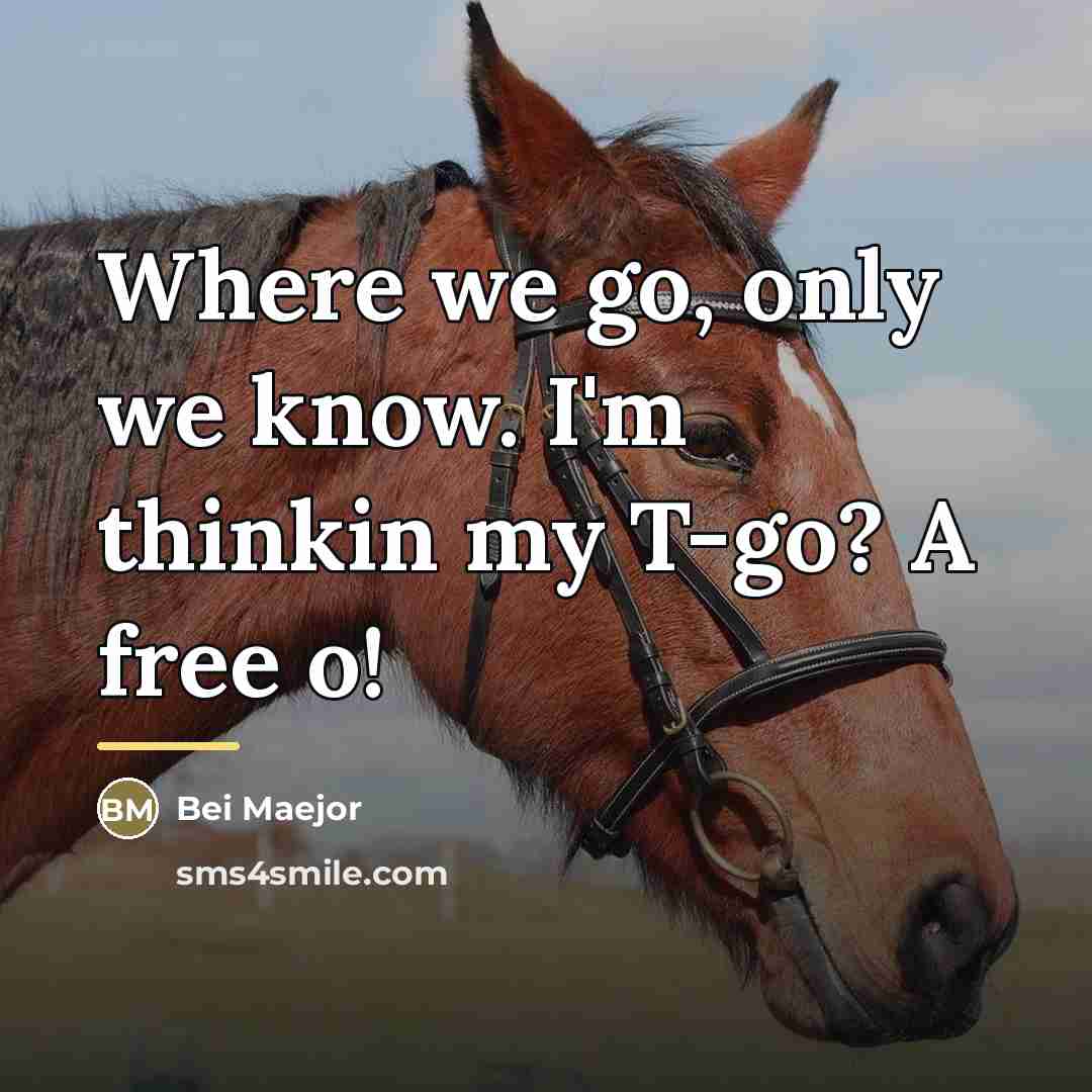 “Where we go, only we know. I'm thinkin my T-go?…” quote by Bei Maejor
