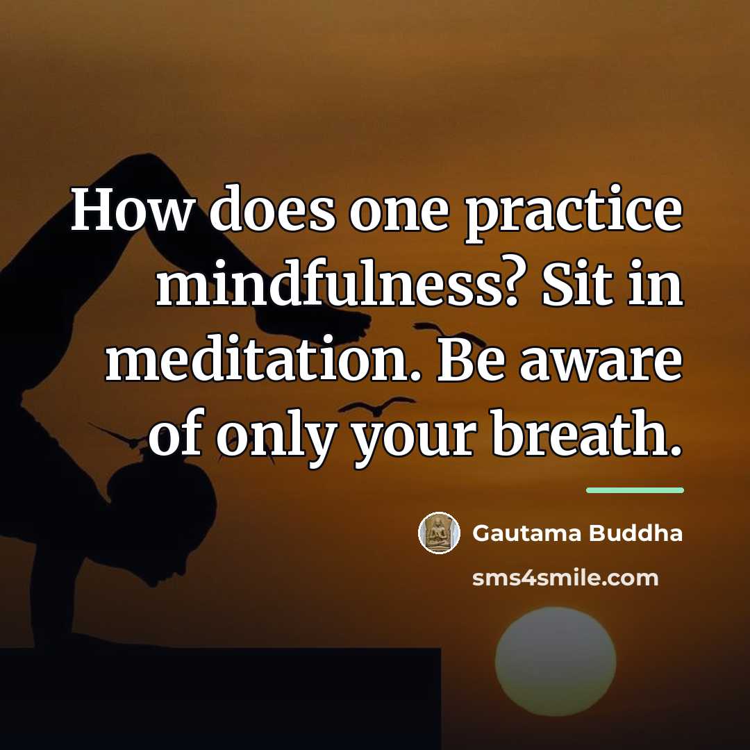 “How does one practice mindfulness? Sit in meditation. Be aware…” quote by Gautama Buddha