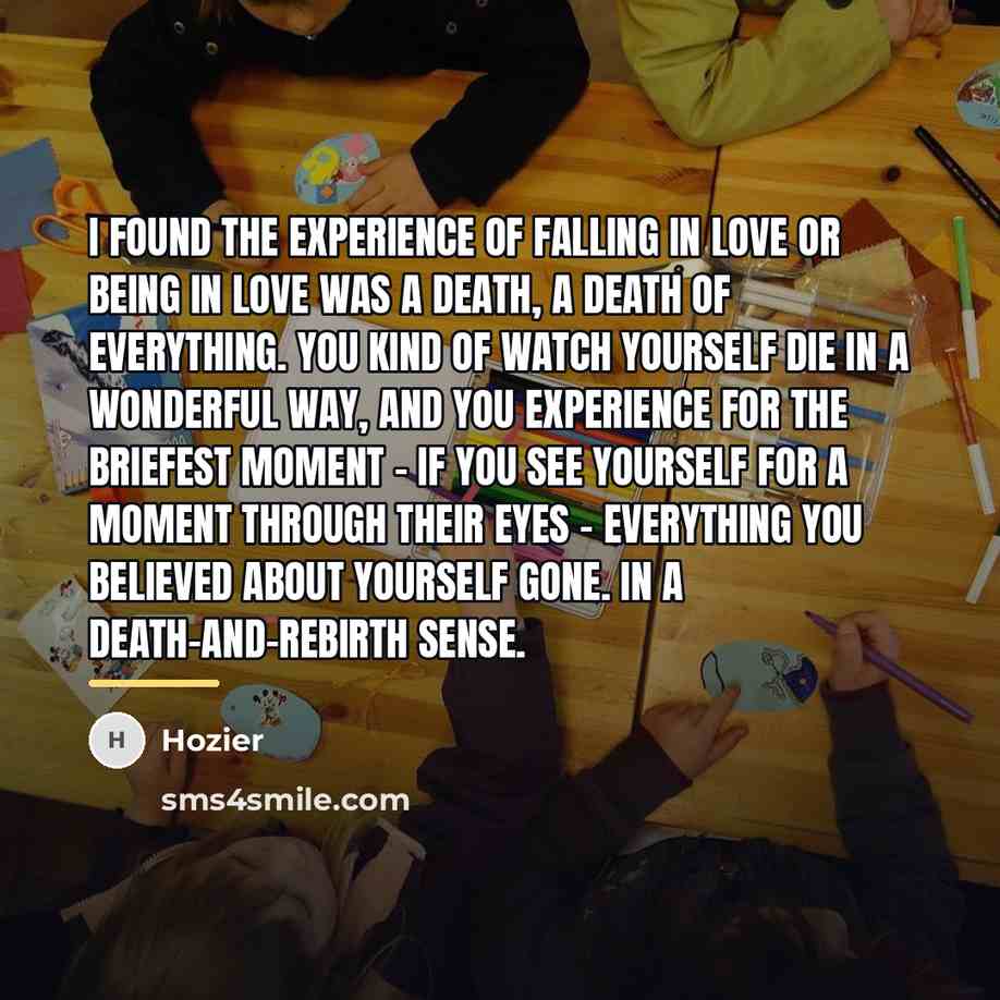 “I found the experience of falling in love or being…” quote by Hozier