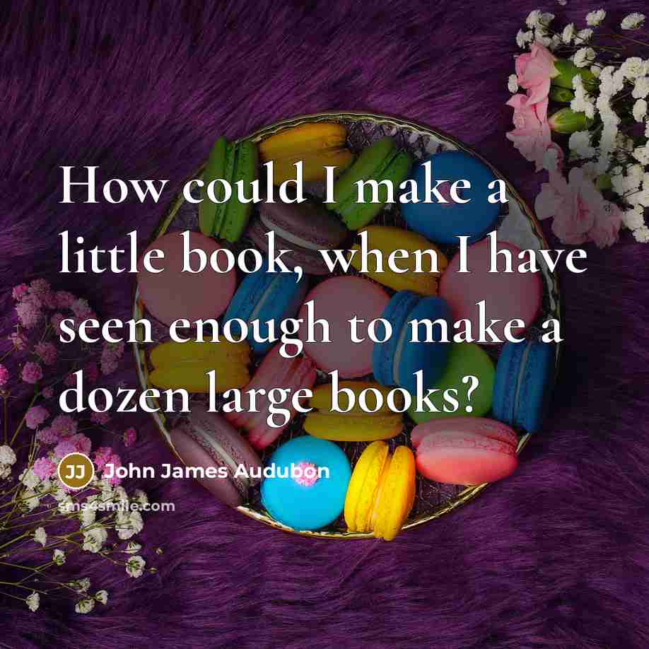“How could I make a little book, when I have…” quote by John James Audubon