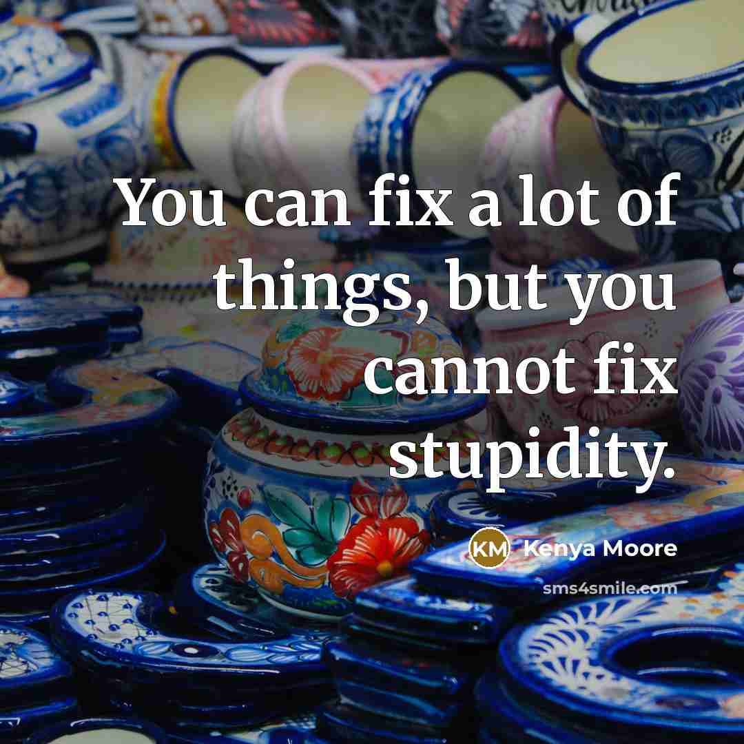 “You can fix a lot of things, but you cannot…” quote by Kenya Moore