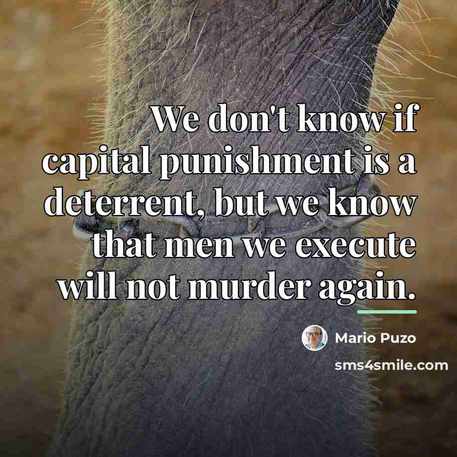 “We don't know if capital punishment is a deterrent, but…” quote by Mario Puzo