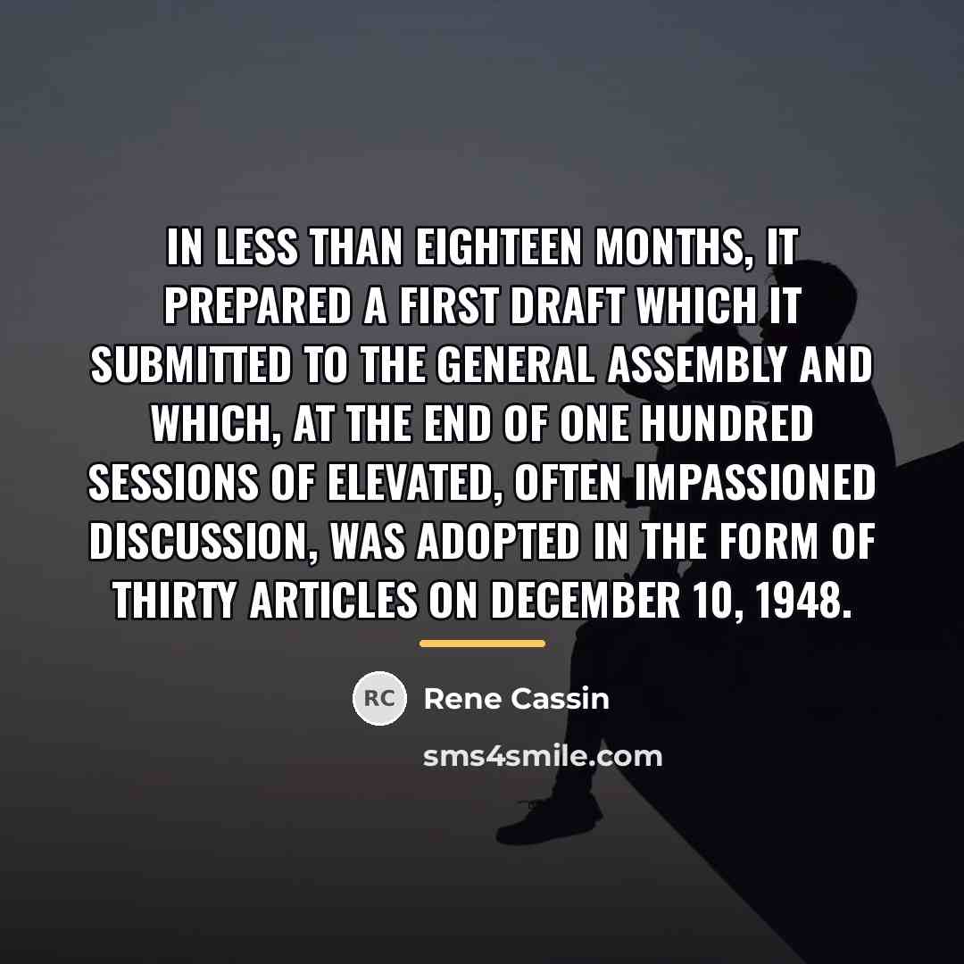 “In less than eighteen months, it prepared a first draft…” quote by Rene Cassin
